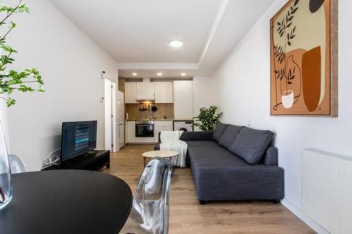 特拉萨Acojedor y exclusivo loft by Lofties的带沙发的客厅和厨房
