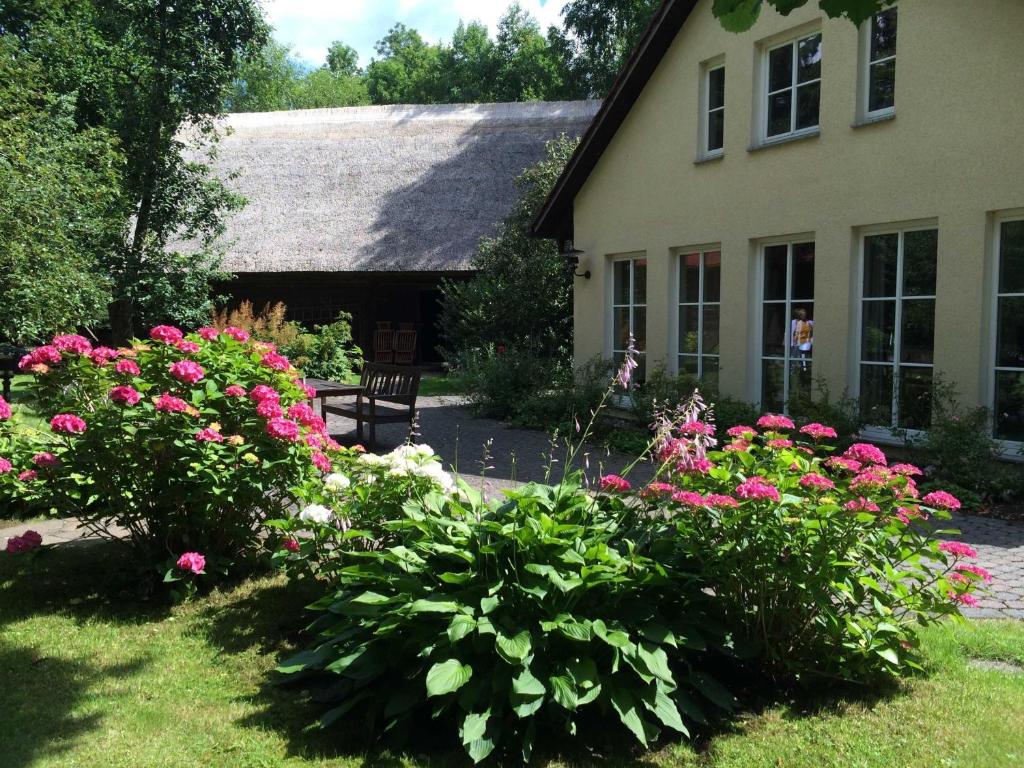 勒赫德Fewo Schlangenkönig的院子里有粉红色花的房子