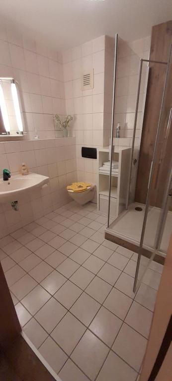 梅森Domblick的带淋浴、卫生间和盥洗盆的浴室