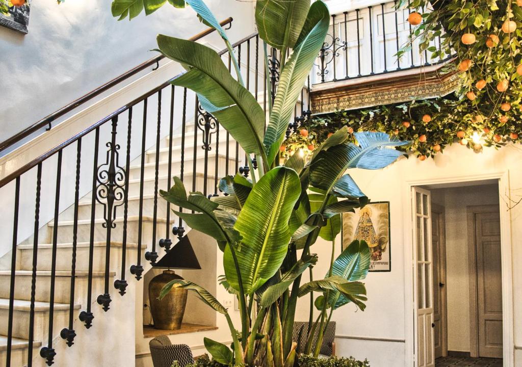 阿尔科斯-德拉弗龙特拉Casa Rural Casa Levante的前面有植物的楼梯