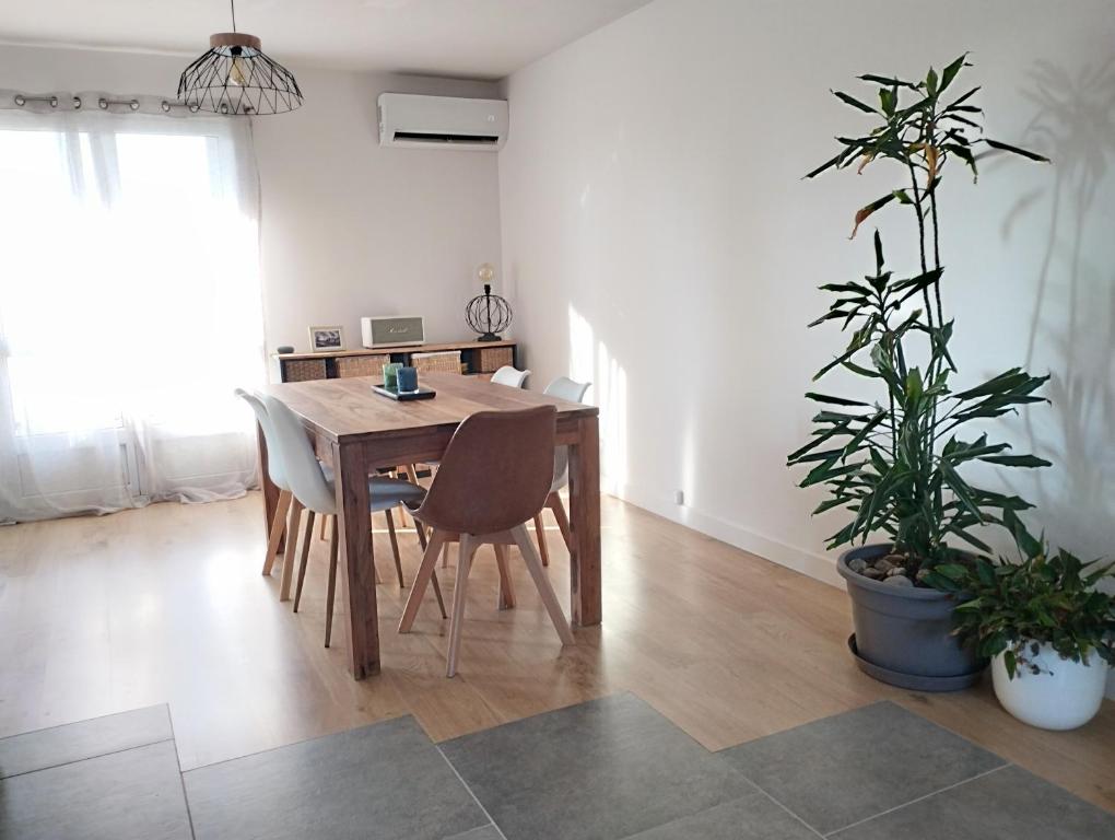 滨海拉塞讷Appartement cosy proche mer的用餐室配有木桌和植物