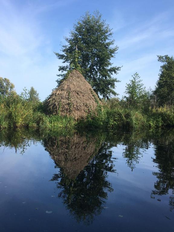 吕本Ferienhaus Spreewiesen in Lübben的水边的树