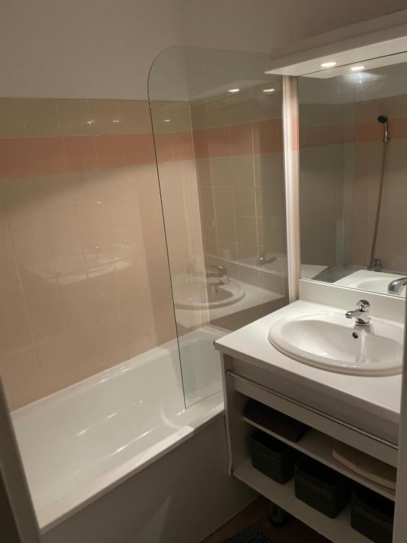 圣费朗索瓦-隆尚Appartement lumineux aux pieds des pistes的带淋浴、盥洗盆和浴缸的浴室