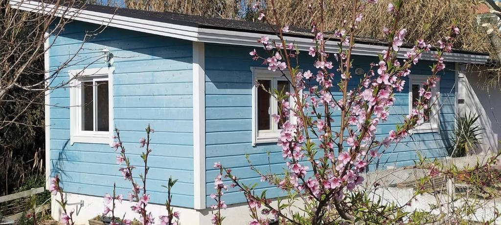 辛特拉Sintra Serenity的前面有粉红色花的蓝色房子