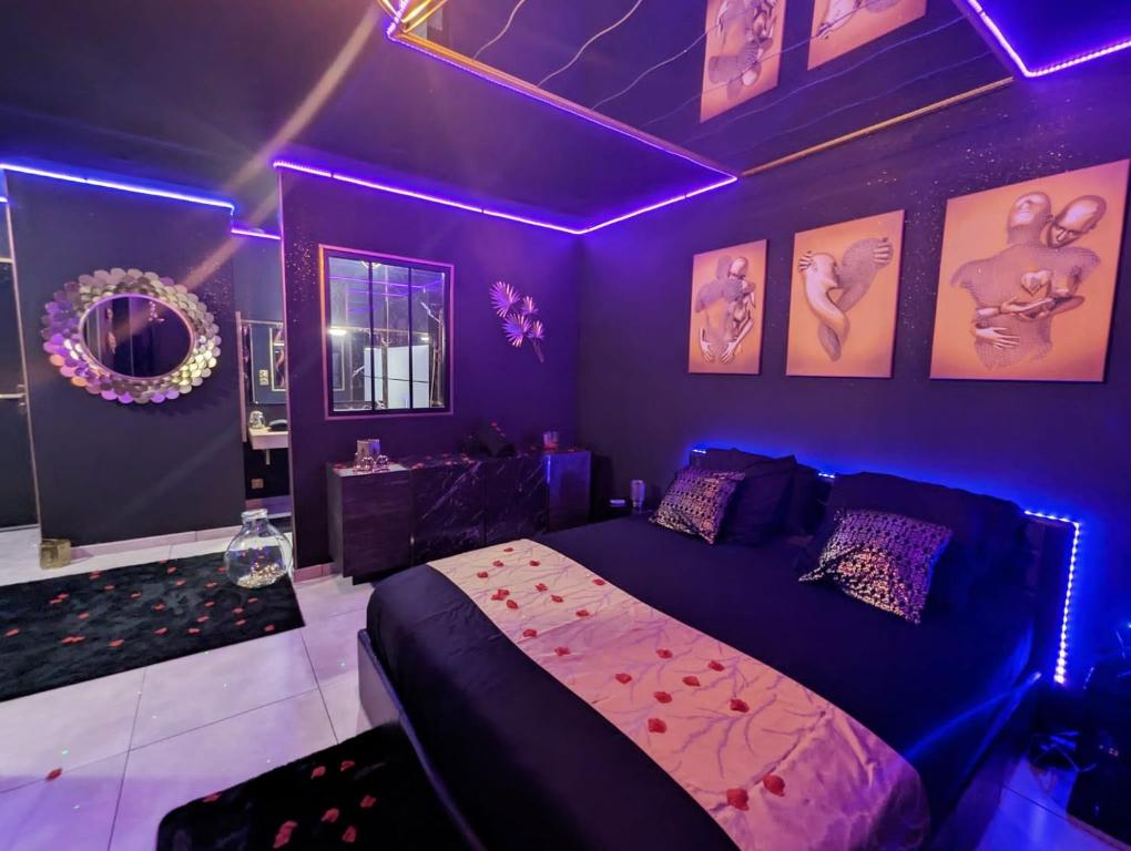 佩皮尼昂Suite Romantique Jacuzzi & Sauna privé Full options TV的紫色卧室配有一张床和紫色照明