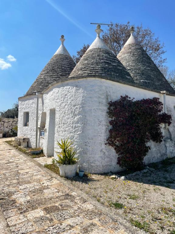 洛科罗通多trulli mancinella的一座白色的小建筑,拥有茅草屋顶