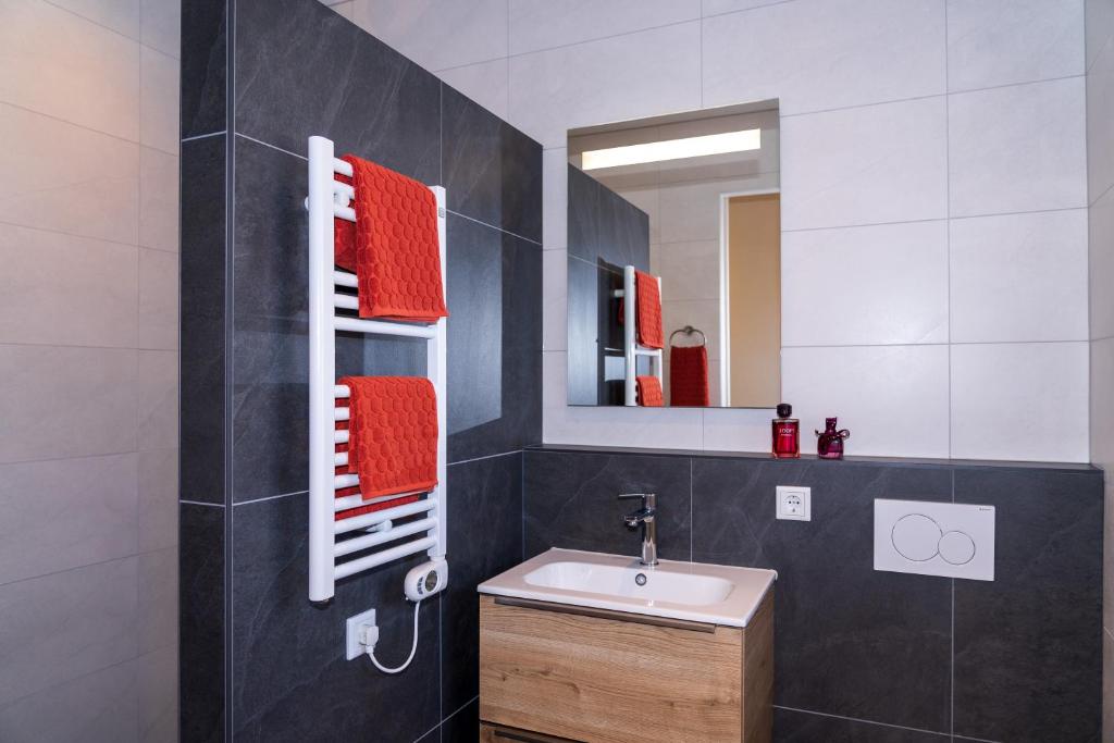 佐特兰德De Sprink - Luxe Kamer - Strand & Zee的一间带水槽和镜子的浴室