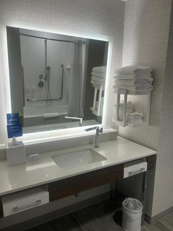 金斯顿Hampton Inn By Hilton Kingston的一间带水槽和大镜子的浴室