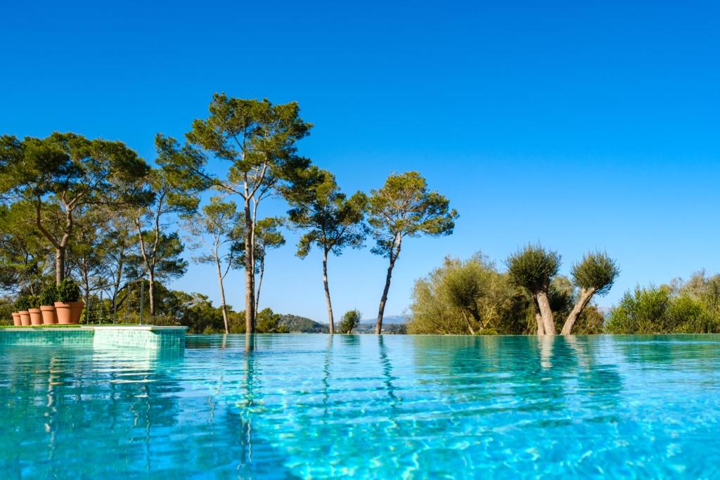 Sant JoanFinca Sa Bastida Luxury Retreat & Spa Adults Only的一片蓝水,有树在后面