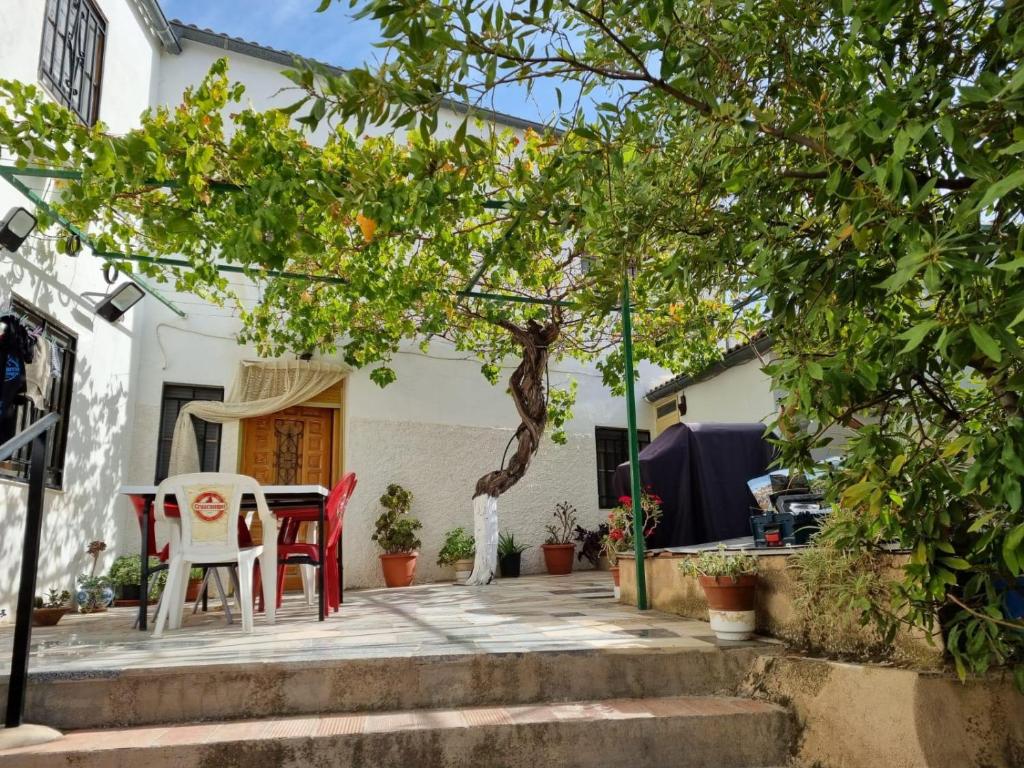 BedmarCasa rural El Parral的庭院配有两把椅子和一张桌子