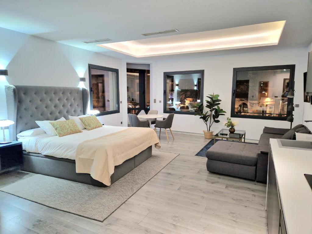 普拉森西亚Plasencia Plaza Mayor Luxury的一间卧室设有一张床和一间客厅。