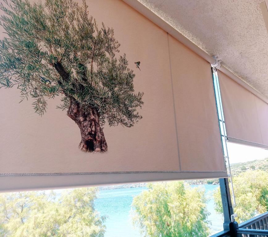 米利纳Athina-Milina的窗户墙上的假树