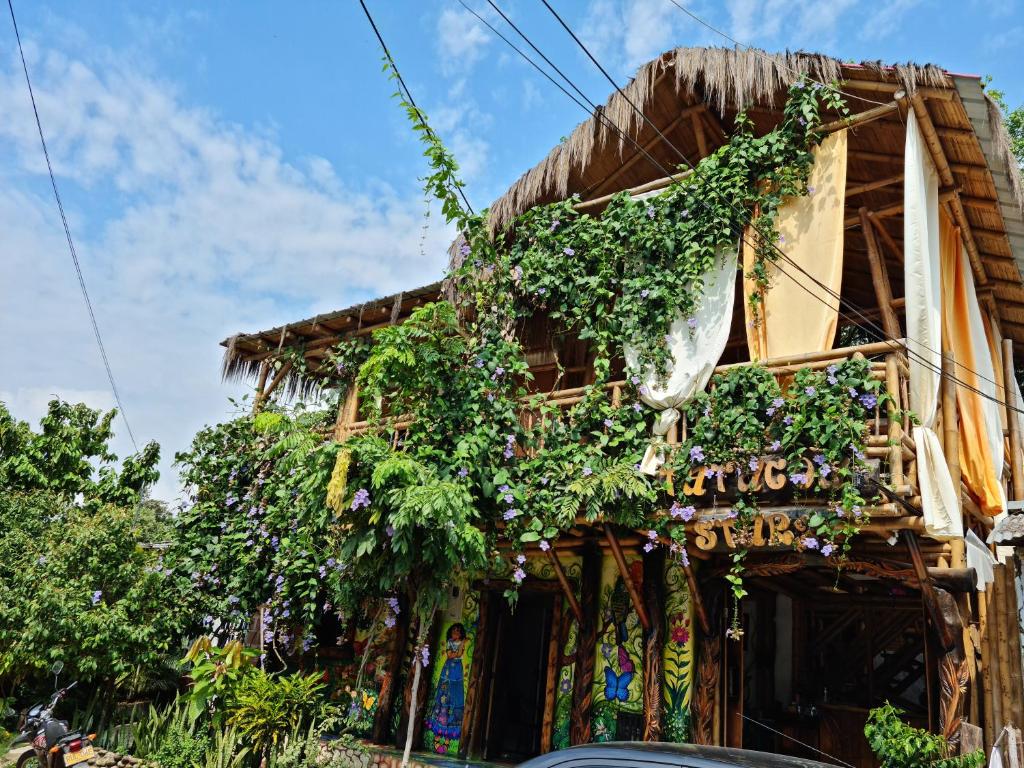 比利亚维哈Tatacoa Star Eco Hotel的植物生长在房子的一侧