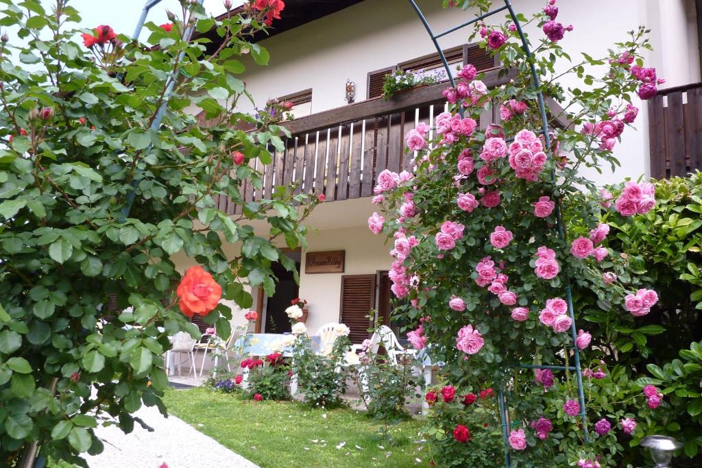 纳莱斯加尔尼赫伯霍夫住宿加早餐旅馆的花园内摆放着粉红色玫瑰和桌椅