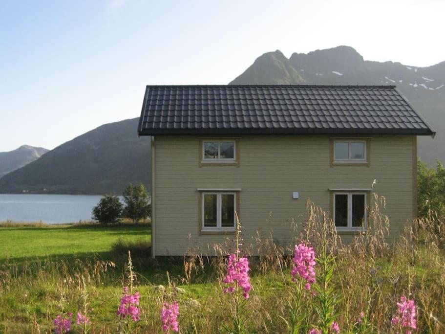 LaupstadCharming house by the sea, Lofoten!的田间小房子,花粉色