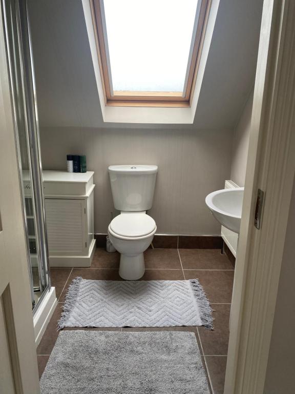 米尔敦马尔贝Private House, Wild Atlantic Way, Spanish Point Road, Miltown Malbay的浴室配有卫生间、水槽和天窗。