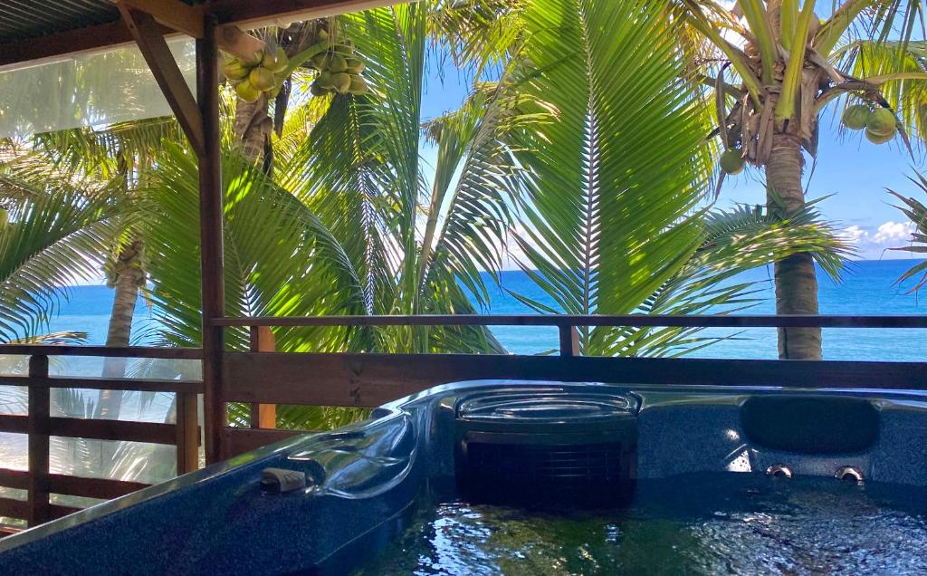 圣安德烈Les îlots du soleil levant的棕榈树和海洋度假村内的热水浴池