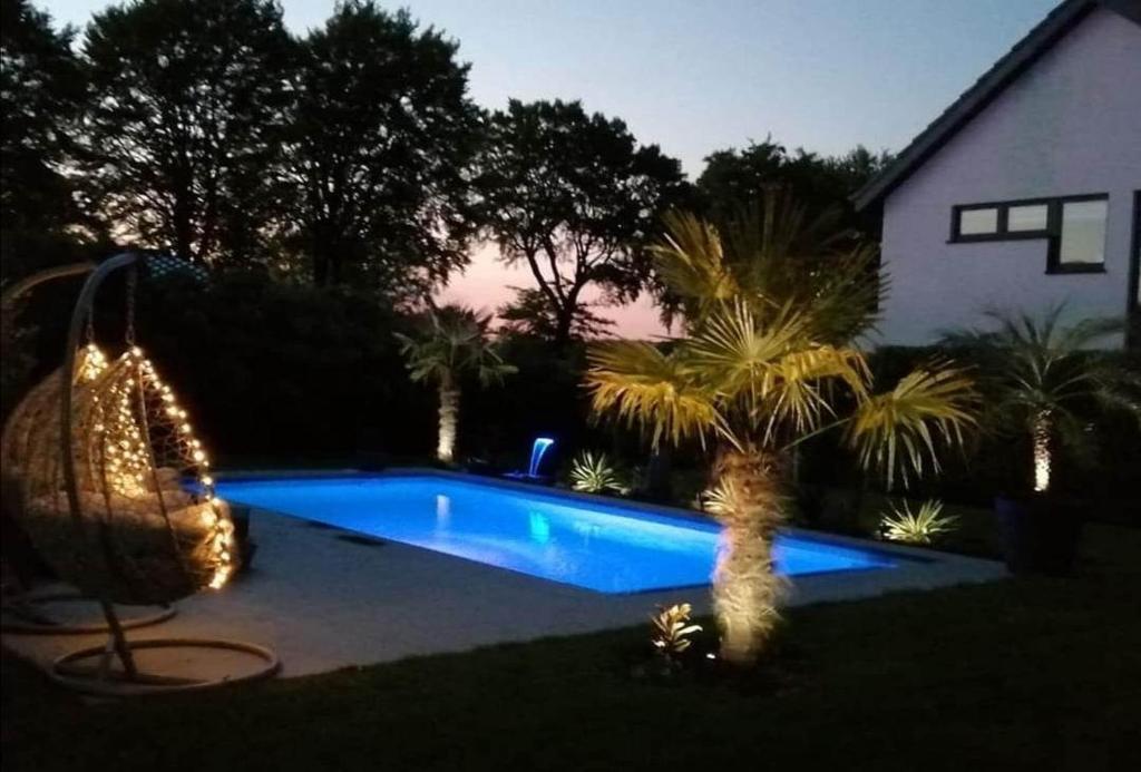 韦姆Chambre d'hôtes Lanonweye的棕榈树庭院内的游泳池,房屋