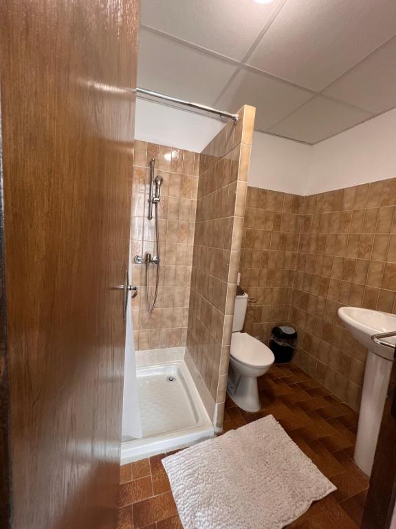 卢尔德Chambre privée Emmanuel Lourdes的带淋浴和卫生间的浴室