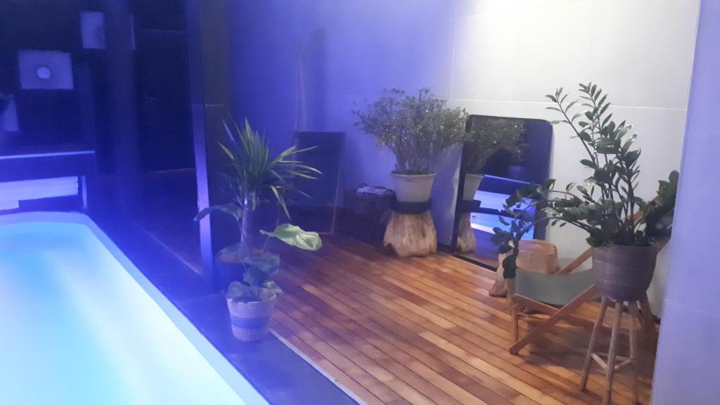 里尔奥利吉尼酒店的一间种植了盆栽植物的房间和浴缸