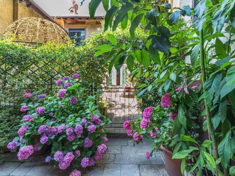 阿罗纳Villa Monastero的种有紫色花卉和围栏的花园