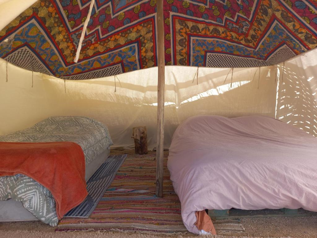 维库尼亚Campo de Cielo Mamalluca Valle de Elqui的一间卧室设有两张床和彩色的墙壁