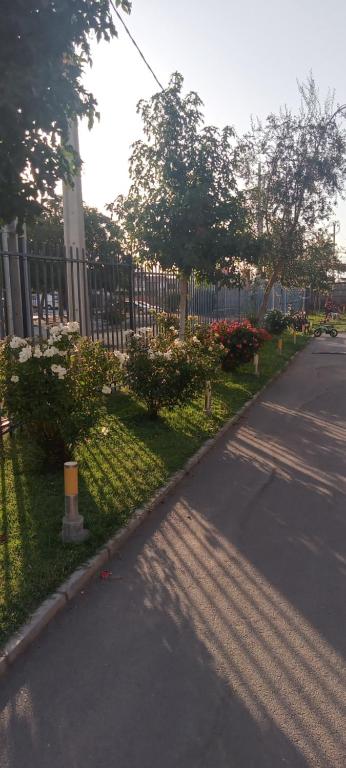 洛斯安第斯Esperanza的花 ⁇ 在路边的栅栏