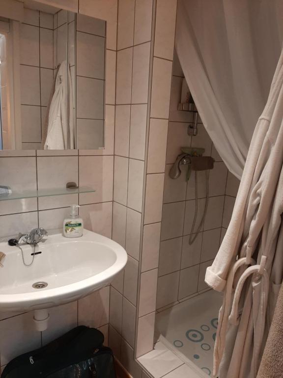胡塔伦De Bosdreef - Hengelhoef - duplex met verwarmd openluchtzwembad的一间带水槽和淋浴的浴室