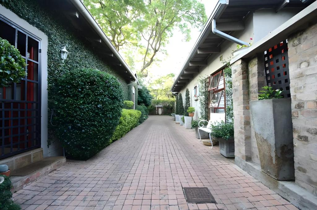 比勒陀利亚Ambiance Guesthouse的砖砌的走道,旁边是植物的建筑