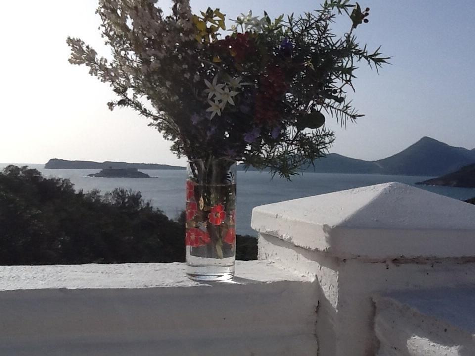 卢什蒂卡Villa Mirista的花瓶,花朵盛在树 ⁇ 上