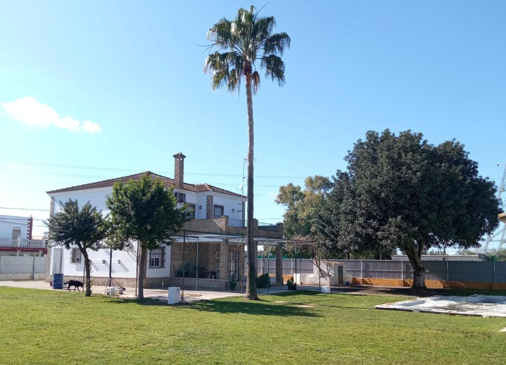 乌特雷拉Casa Rural El Algarrobo的白色房子前面的棕榈树