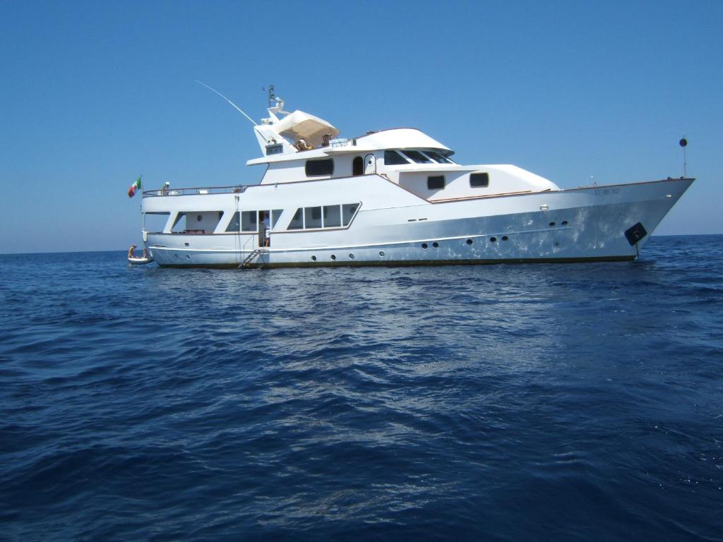 蒙特卡罗La Voglia Matta的一艘大白船坐在水中
