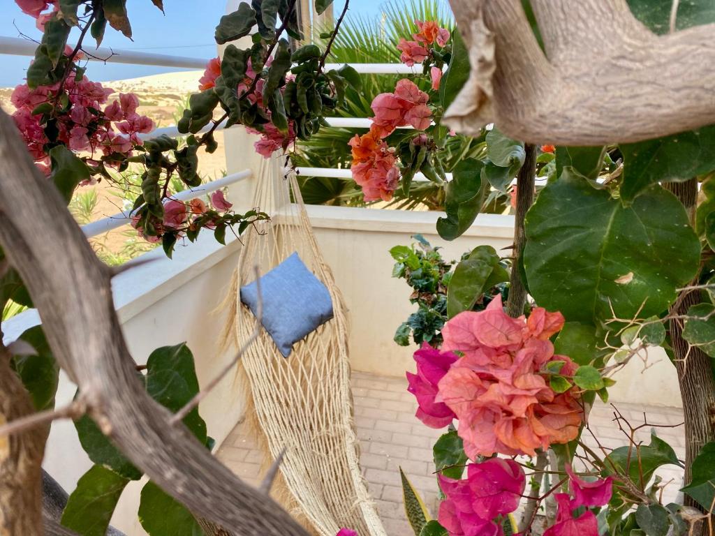 萨尔雷Terra Kriola的挂在鲜花阳台上的藤制吊床