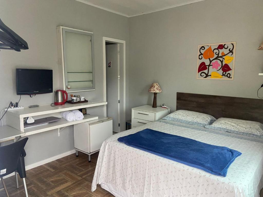 布卢梅瑙Espaço aconchegante Blumenau的一间卧室配有一张床、一张书桌和一台电视