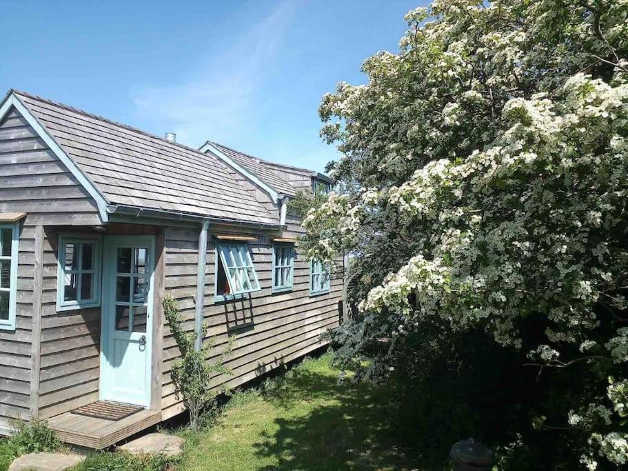 布德Tiny House on isolated farm by the Cornish Coast的前面有一棵开花的树的房子