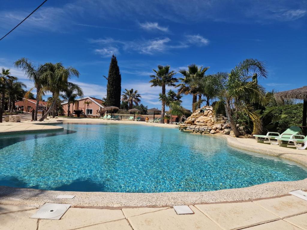 拉戈斯Quinta do Baía的一座拥有蓝色海水和棕榈树的大型游泳池