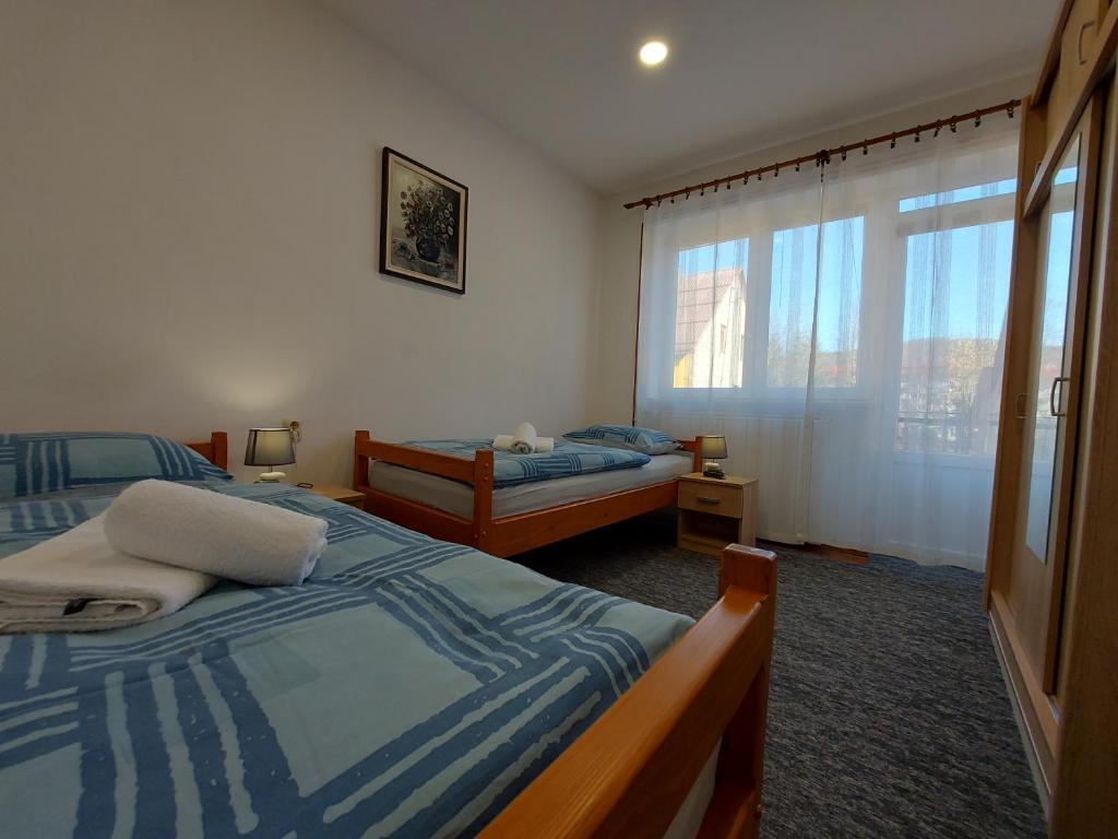 代尔尼采Apartman Tinče的一间卧室设有两张床和窗户。