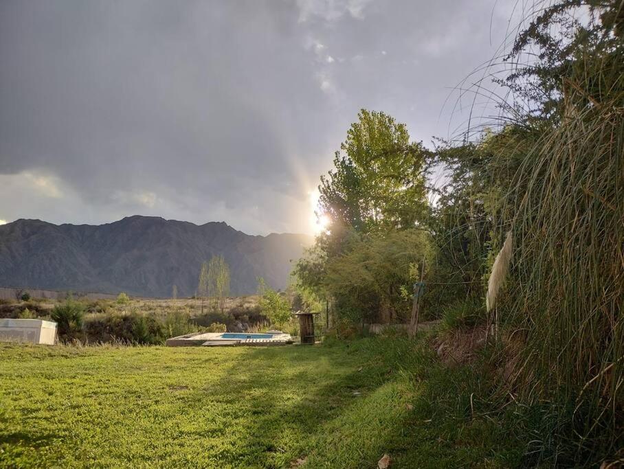 且乌塔Vista los Andes的一片有太阳背景的草场