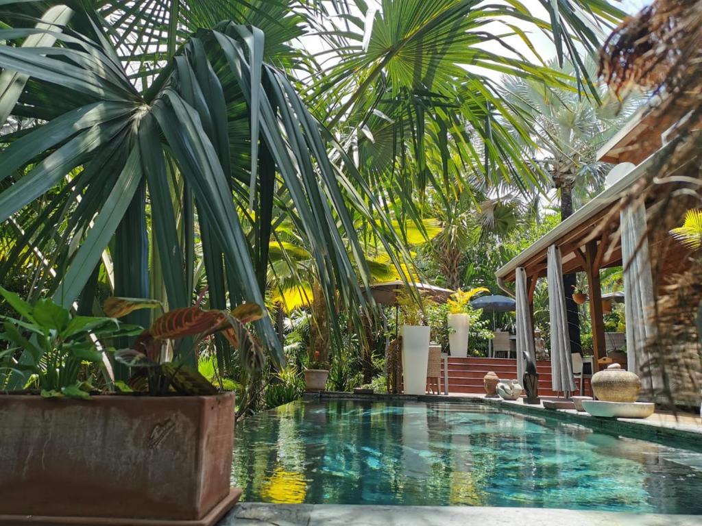 圣皮埃尔劳齐帕尔马旅馆的一座棕榈树环绕的游泳池
