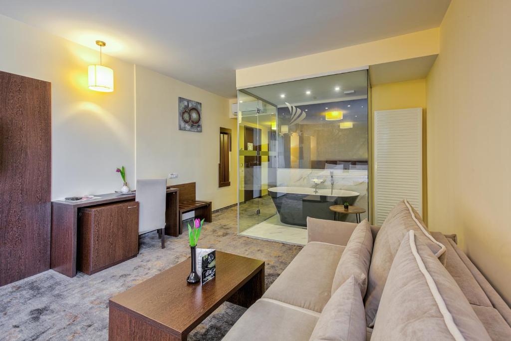 布拉索夫金色年华酒店的带沙发的客厅和浴室。
