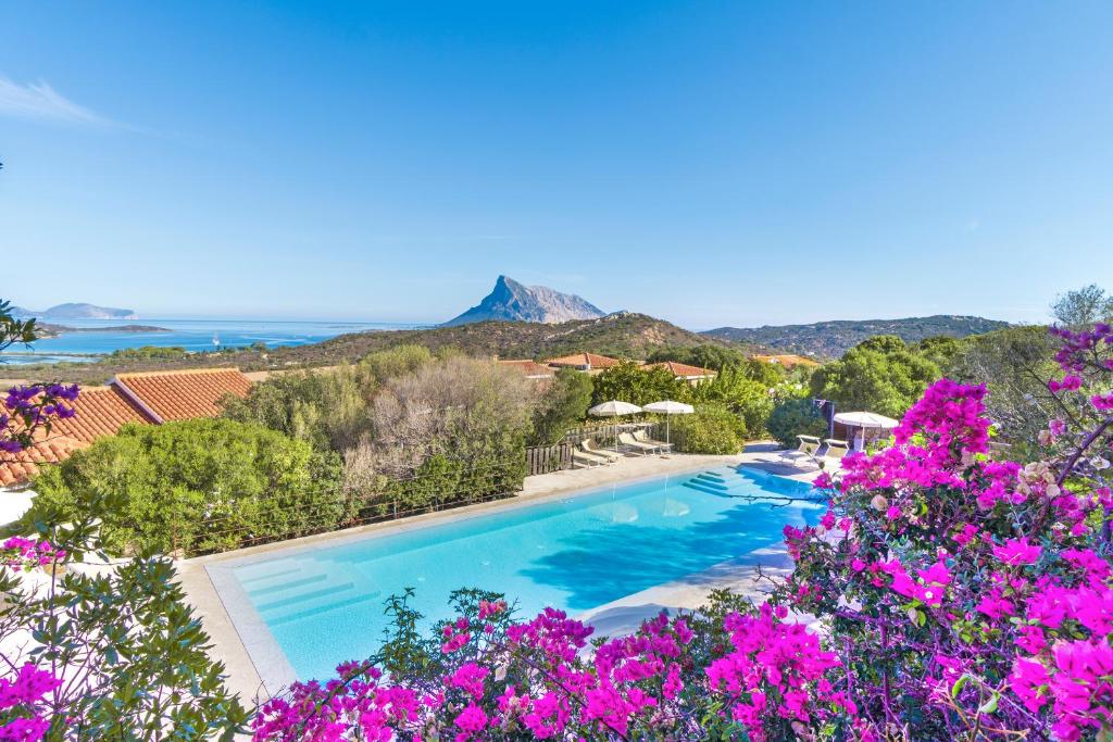 圣特奥多罗鲁尼巴黑度酒店的一座别墅,设有一座带紫色花卉的游泳池