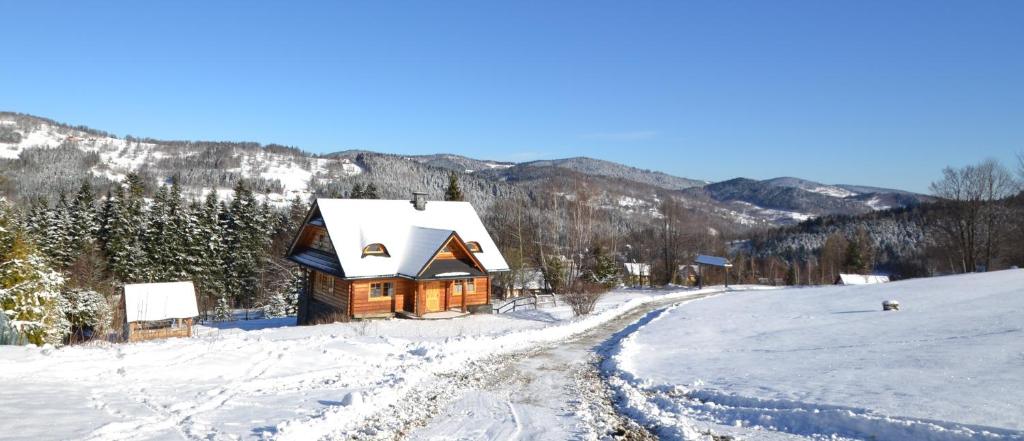 扎沃亚Sarni Szlak的雪中的一个小木屋,靠近一条道路