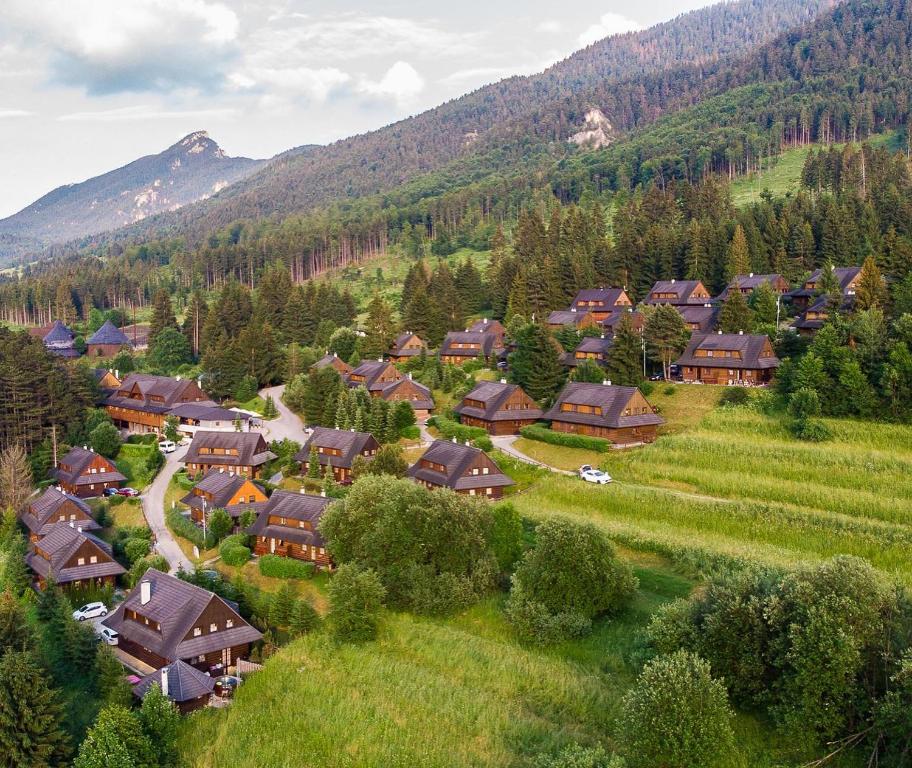 特尔乔夫得来文斯特楚瓦酒店的享有山脉村庄的空中景致