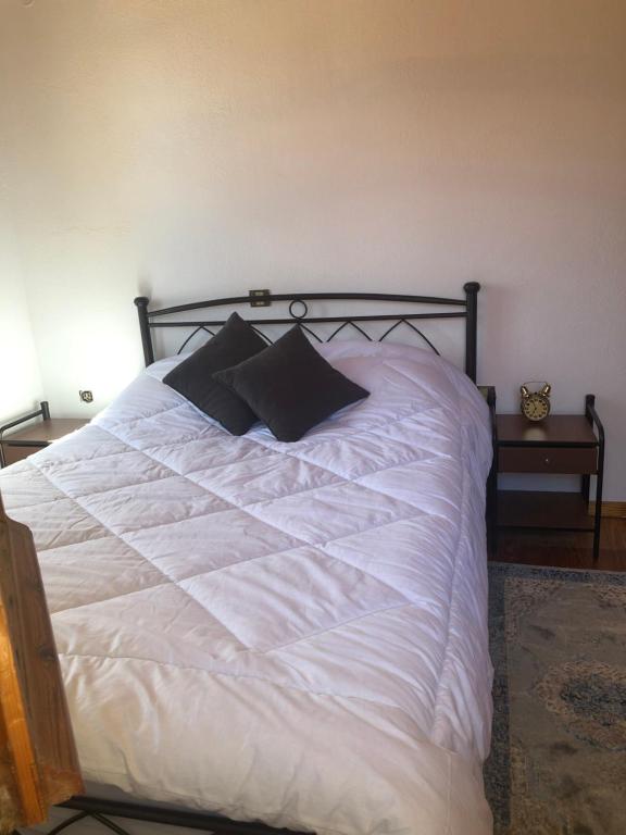 阿拉霍瓦Elvira’s Apartment的卧室配有白色的床和两个枕头