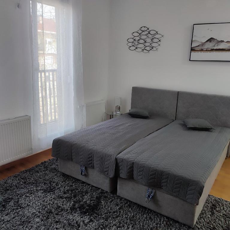 诺维萨德Centar Apartman FILIPOVSKI的一间卧室配有一张大床和地毯。