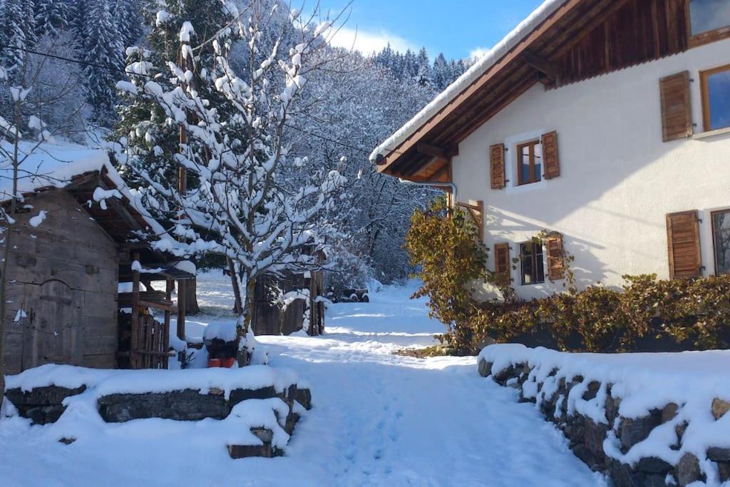 VaillyLa Grange de Pimberty - Beautiful apartments 27 miles from Geneva的一座有房子和树的雪地覆盖的院子