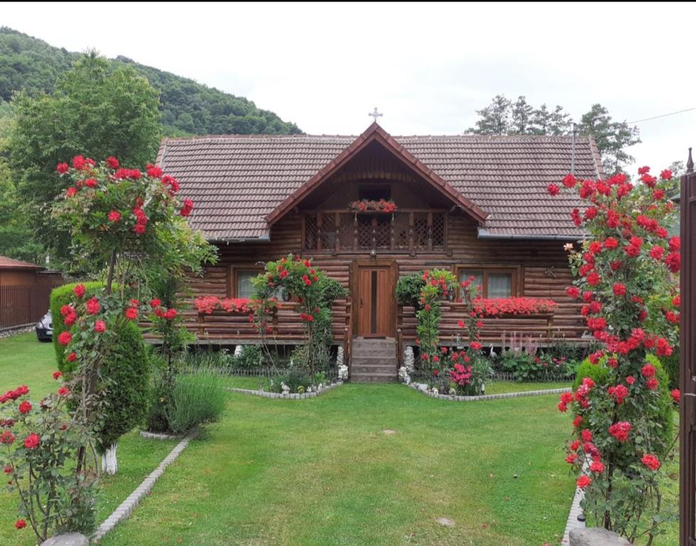 CosteştiCasa Bunicii的庭院里一座带鲜花的木房子