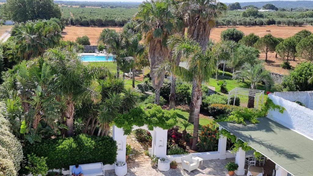 托雷桑塔萨宾娜Masseria Boezio Ostuni的享有度假村的空中景致,设有游泳池和棕榈树