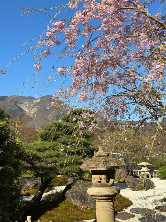 箱根Onsen & Garden -Asante Inn-的树下石雕,有粉红色的花朵