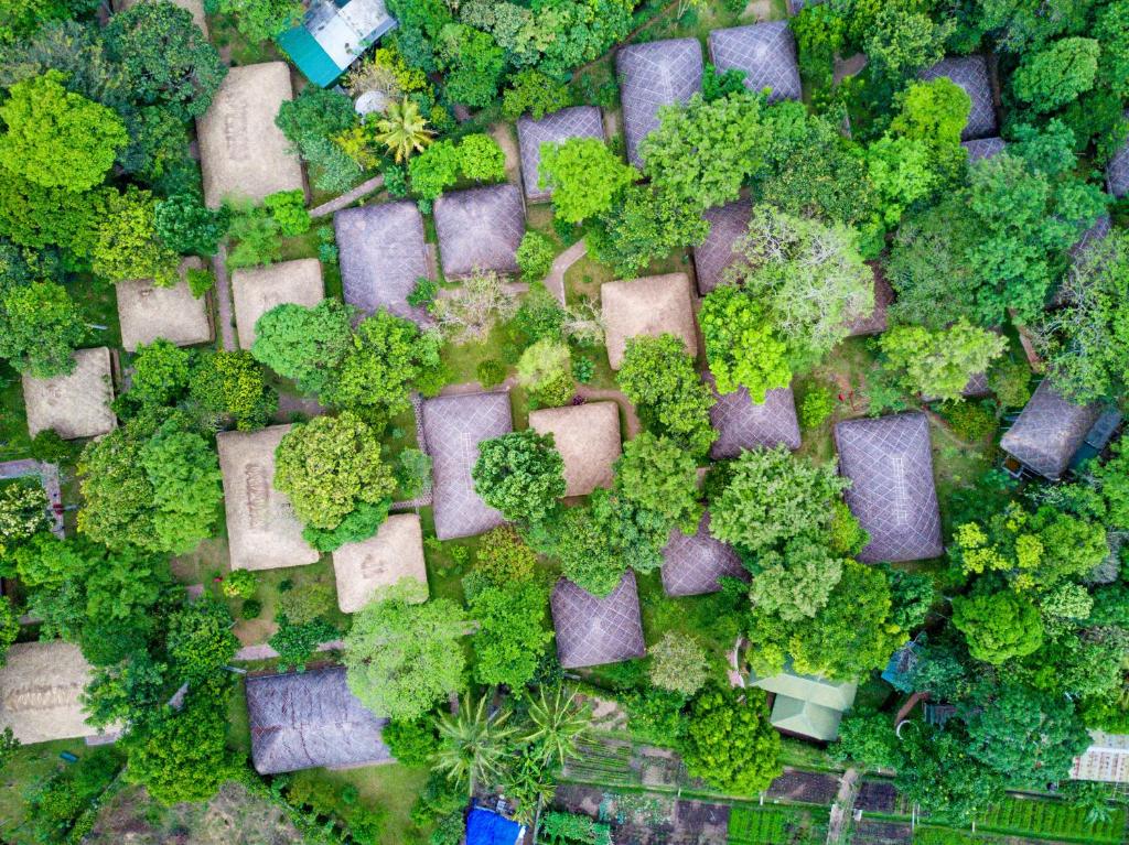 提喀迪Spice Village Thekkady - CGH Earth的享有树木和灌木丛的公园的顶部景色